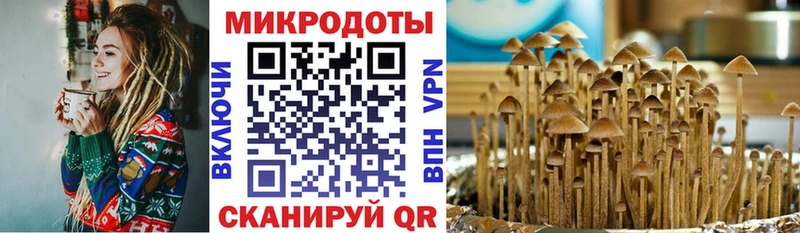 купить наркотик  нарко площадка наркотические препараты  Галлюциногенные грибы Psilocybine cubensis  Ярославль 